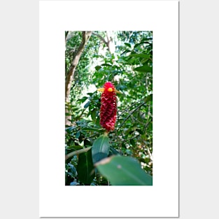 Road to Hana Floral Study 1 Posters and Art